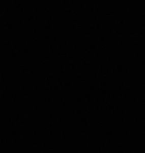 Meet your Posher, Valeria